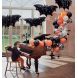 Heerlijke kit voor DIY ballonnenboog - Halloween