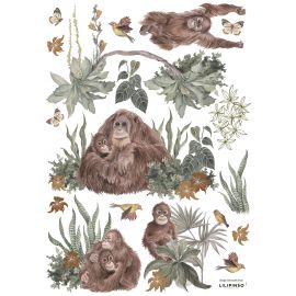 Sticker - Orangutan Family