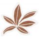 Katoenen tapijt - Tropical Leaf - Terracotta