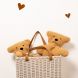 Knuffel Teddy