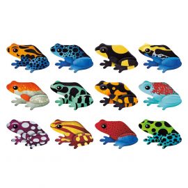 Memory spelletje - Tropical Frogs