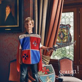Souza for Kids - Ridderzwaard Ronald