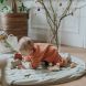 Plan Toys - Houten duwfiguur Konijntje op wielen - Wit