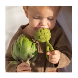 Artichoke Rattle Toy