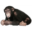 Levensechte muursticker Safari Friends - Chimpansee